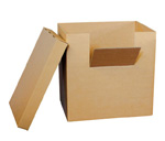 Scatole container in cartone